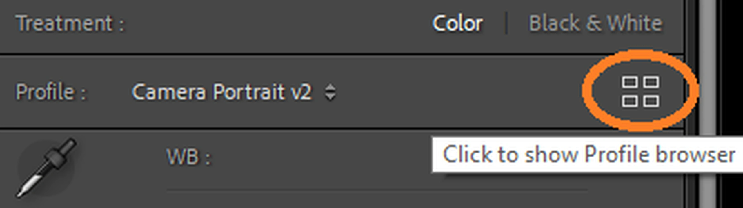 “Basic” panel in lightroom